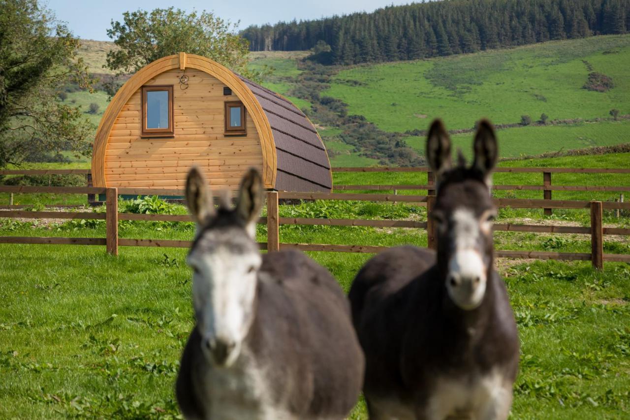 הוילה Kilbane Luxury Two-Bed Glamping Pod In County Clare 2 מראה חיצוני תמונה