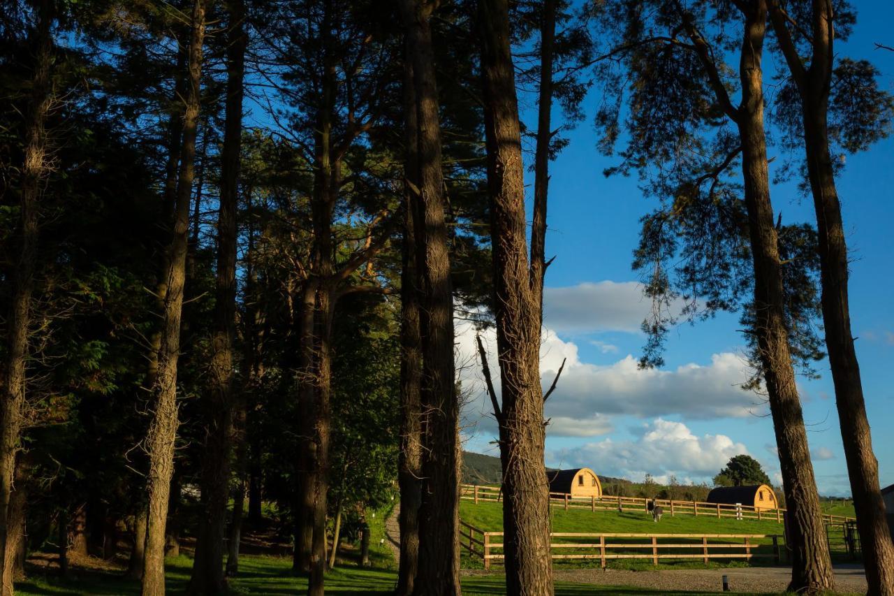 הוילה Kilbane Luxury Two-Bed Glamping Pod In County Clare 2 מראה חיצוני תמונה